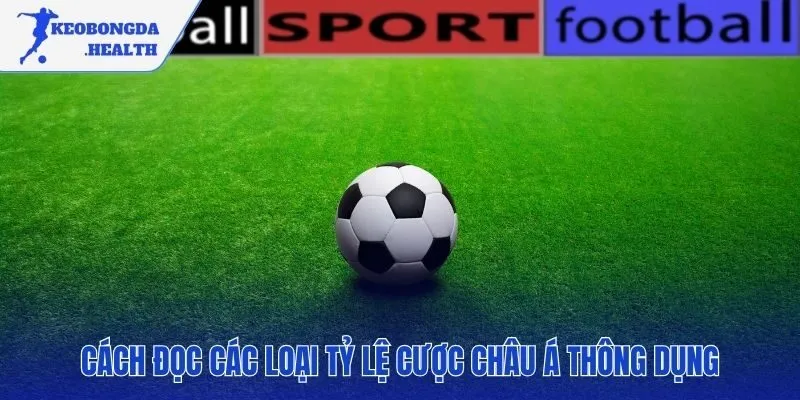 Quy luật rõ ràng đằng sau các tỷ lệ cược kèo châu Á