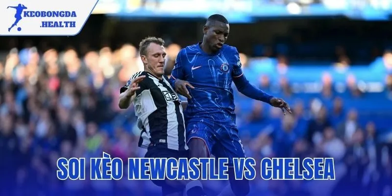 Soi Kèo Newcastle Vs Chelsea – Nhận Định Và Chốt Kèo Chuẩn