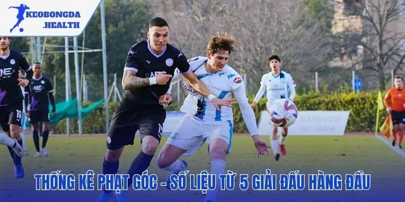 Soi kèo phạt góc dựa trên thống kê các giải đấu lớn